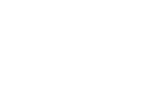 ブレないから高く飛べる。